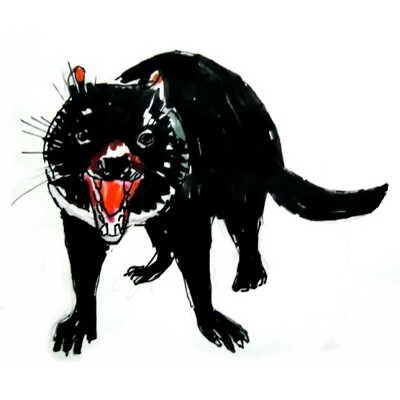 Тасманский дьявол рисунок