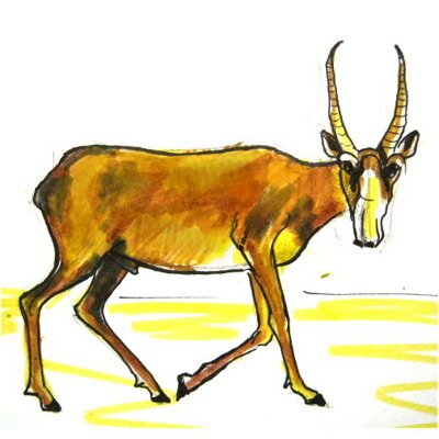 Рисунок сайгак -7